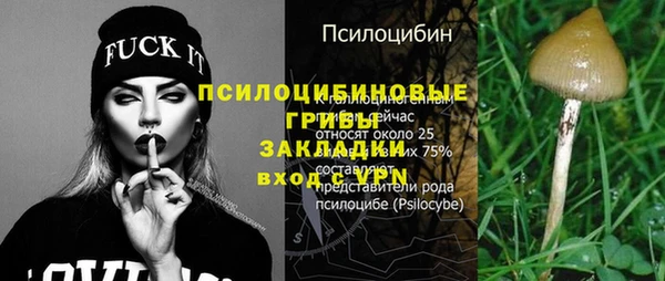 дмт Алексеевка