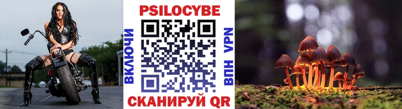 Псилоцибиновые грибы прущие грибы  Сафоново 